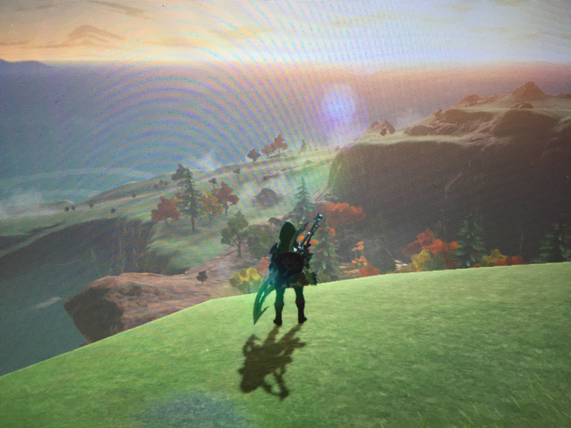 Illustration for article titled Here are Some of my Favorite Screenshots from The Legend of Zelda: Breath of the Wild